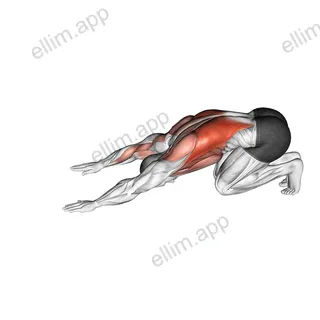 Power Push Aways exercise targeting Latissimus Dorsi and Pectoralis Major Clavicular Head
