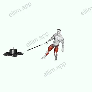 Power Sled Anti Rotation Forward Walk exercise targeting Hips