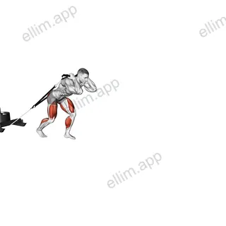 Power Sled Drag exercise targeting Weightlifting