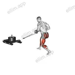 Power Sled Rear Batwing exercise targeting Thighs