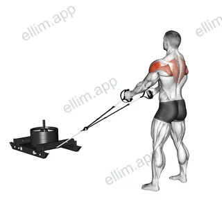 Power Sled Rear Fly exercise targeting Shoulders