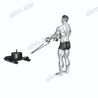 Power Sled Rear Lunge exercise targeting Hips