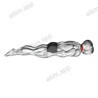 Prone Cervical Extension Isometric Hold exercise targeting Neck