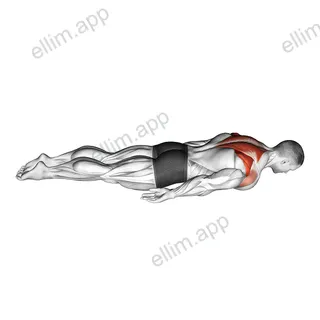 Pulse Row exercise targeting Back and Infraspinatus