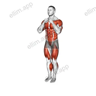 Punch Step Forward exercise targeting Plyometrics