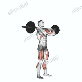Push Press exercise targeting Shoulders and Deltoid Anterior