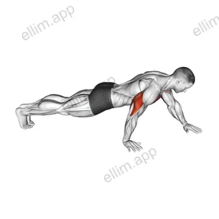 Push-up Hand by Hand exercise targeting Pectoralis Major Clavicular Head and Pectoralis Major Sternal Head