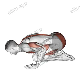 Push-up in Child Pose exercise targeting Chest