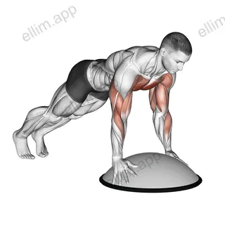Push Up On Bosu Ball exercise targeting Chest