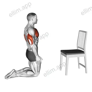 Push with Chair exercise targeting Chest