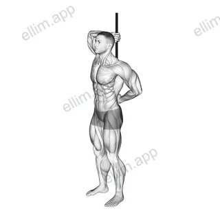 PVC Hip Hinge exercise targeting Hips and Gluteus Maximus
