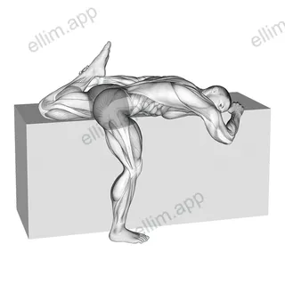 Quadriceps Stretch On Box exercise targeting Thighs