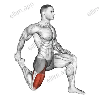 Quadriceps stretch exercise targeting Thighs and Quadriceps