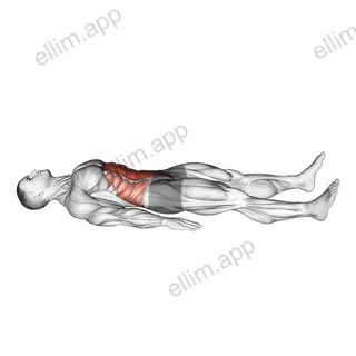 Quarter Sit-up exercise targeting Waist and Rectus Abdominis