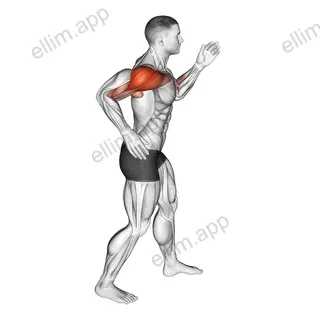 Quickly Swing Arms in place exercise targeting Shoulders and Deltoid Anterior