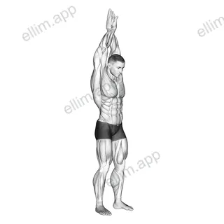 Reach up back stretch exercise targeting Back