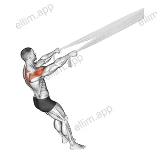 Rear Delt Fly with Bed Sheet exercise targeting Shoulders and Deltoid Posterior