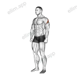 Rear Deltoid Stretch exercise targeting Shoulders and Deltoid Posterior