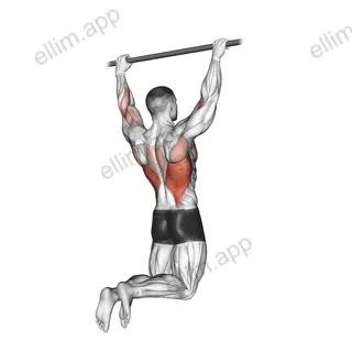 Rear Pull up exercise targeting Back