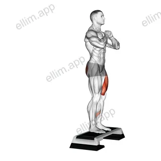 Rear Shift Lunge from Deficit exercise targeting Thighs