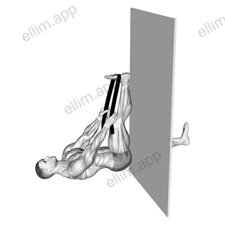 Recumbent Knee Flexor Stretch With Towel exercise targeting Thighs