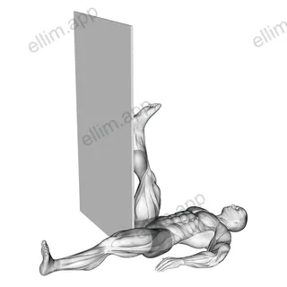 Recumbent Knee Flexor Stretch exercise targeting Thighs
