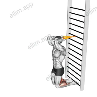 Resistance Band Assisted Nordic Hamstring Curl exercise targeting Thighs