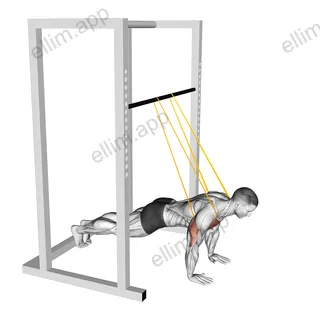 Resistance Band Assisted Push-up exercise targeting Chest and Pectoralis Major Clavicular Head