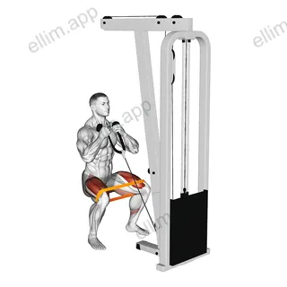 Resistance Band Cable Squat exercise targeting Thighs
