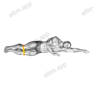 Resistance Band Clam exercise targeting Hips and Gluteus Medius