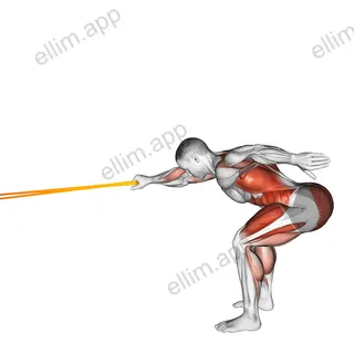Resistance Band Deadlift with Single Arm Row exercise targeting Back