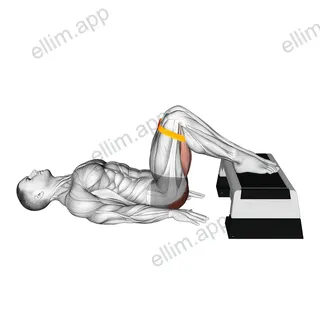 Resistance Band Elevated Glute Bridge exercise targeting Hips