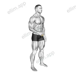 Resistance Band Fingers Extension exercise targeting Hands