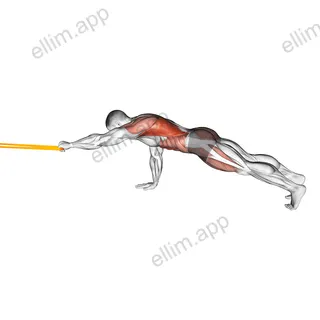 Resistance Band Front Plank with Single Arm Pulldown exercise targeting Back