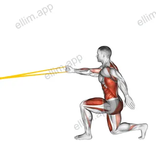 Resistance Band High Knee Lunge with Single Arm Row exercise targeting Back