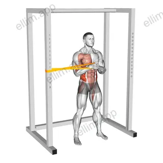 Resistance Band Horizontal Pallof Press exercise targeting Waist and Obliques