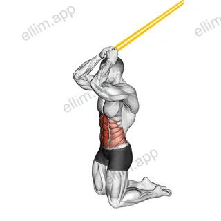Resistance Band Kneeling Ab Crunch exercise targeting Waist and Rectus Abdominis