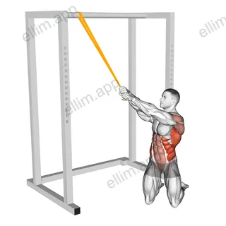 Resistance Band Kneeling Woodchop exercise targeting Waist and Latissimus Dorsi