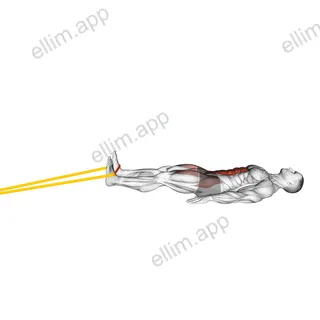 Resistance Band Lying Bent Knee Raise exercise targeting Waist and Iliopsoas