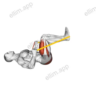 Resistance Band Lying Leg Press exercise targeting Thighs