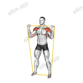 Resistance Band Overhead Shoulder Press exercise targeting Shoulders and Deltoid Anterior