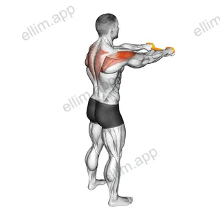 Resistance Band Pull Apart exercise targeting Shoulders and Deltoid Posterior
