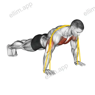 Resistance Band Push-up exercise targeting Chest