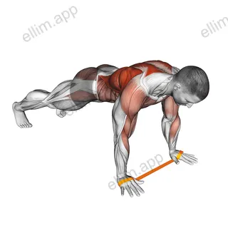 Resistance Band Renegade Row exercise targeting Waist