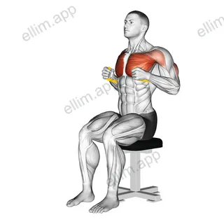 Resistance Band Seated Chest Press exercise targeting Chest