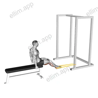 Resistance Band Seated Leg Curl exercise targeting Thighs and Hamstrings