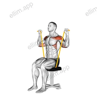 Resistance Band Seated Shoulder Press exercise targeting Shoulders