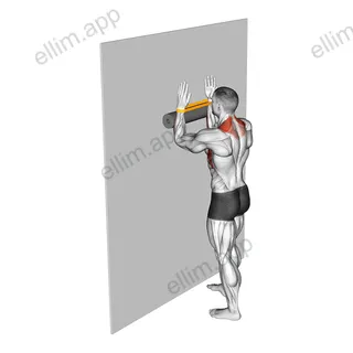 Resistance Band Serratus Wall Slide with Foam Roll exercise targeting Back and Serratus Anterior