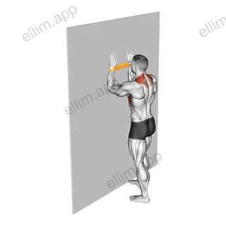 Resistance Band Serratus Wall Slide exercise targeting Back and Serratus Anterior