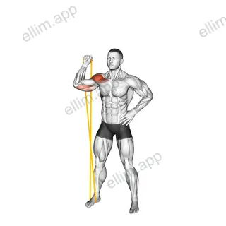 Resistance Band Single Arm Overhead Shoulder Press exercise targeting Shoulders and Deltoid Anterior